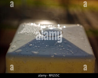 Le gocce di umidità su una colonna di legno, macro Foto Stock