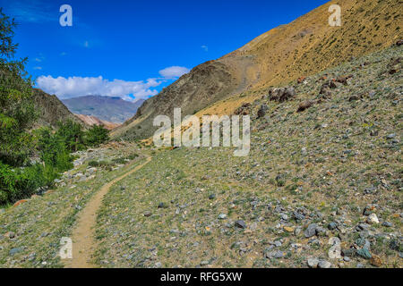 Estate pittoresco paesaggio di montagna - Vista dal canyon di Kyzyl mento con variopinte scogliere di argilla per la gamma Kuray, montagne di Altai, Russia. Foto Stock