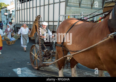 Antique cavallo e falciatrice nella vecchia scuola sfilata dei mestieri tradizionali alla sagra annuale, Saint Gilles, Gard, Francia Foto Stock