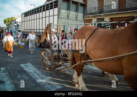 Antique cavallo e falciatrice nella vecchia scuola sfilata dei mestieri tradizionali alla sagra annuale, Saint Gilles, Gard, Francia Foto Stock