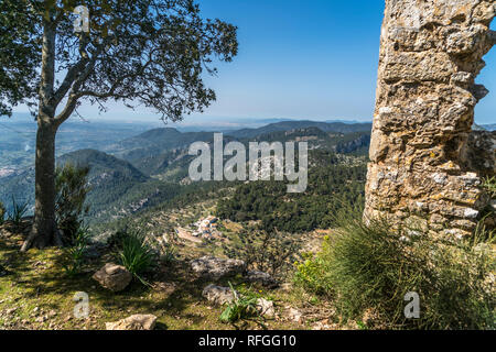 Burgruine Castell d'Alaro im Gebirge der Serra de Tramuntana, Mallorca, Balearen, Spanien | castello rovina Castell d'Alaro, Serra de Tramuntana mounta Foto Stock