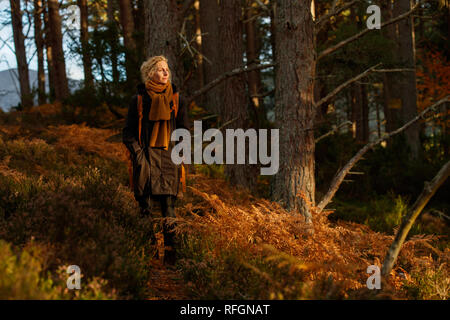 Una donna che cammina in una foresta con un sacco di felci arancione Foto Stock