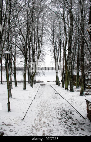 Splendido parco con vecchie lampade, panchine e lago con la neve in inverno, verticale Foto Stock