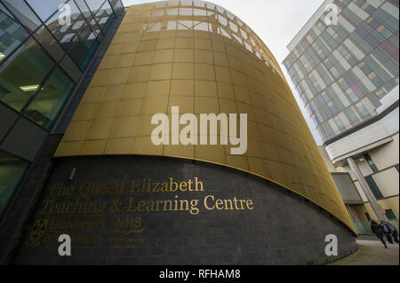 Glasgow, Scotland, Regno Unito. Il 25 gennaio 2019. Varie scene che mostrano differenti viste da intorno il Queen Elizabeth University Hospital. Ci sono stati 2 morti dei pazienti ha riportato di recente e che si ritiene siano legate alle infezioni contratte attraverso la pollina piccione. Credito: Colin Fisher/Alamy Live News Foto Stock