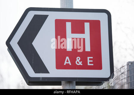 Glasgow, Scotland, Regno Unito. Il 25 gennaio 2019. Varie scene che mostrano differenti viste da intorno il Queen Elizabeth University Hospital. Ci sono stati 2 morti dei pazienti ha riportato di recente e che si ritiene siano legate alle infezioni contratte attraverso la pollina piccione. Credito: Colin Fisher/Alamy Live News Foto Stock