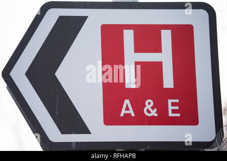 Glasgow, Scotland, Regno Unito. Il 25 gennaio 2019. Varie scene che mostrano differenti viste da intorno il Queen Elizabeth University Hospital. Ci sono stati 2 morti dei pazienti ha riportato di recente e che si ritiene siano legate alle infezioni contratte attraverso la pollina piccione. Credito: Colin Fisher/Alamy Live News Foto Stock