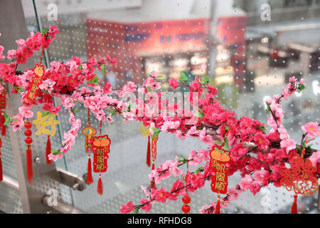 Hong Kong, Cina. 25 gennaio, 2019. Il Festival di Primavera di decorazioni sono visti presso il West Kowloon Station a Hong Kong, Cina del Sud, 25 gennaio, 2019. Il Festival di Primavera, o il nuovo anno lunare cinese cade il 5 febbraio di quest'anno. Credito: Wu Xiaochu/Xinhua/Alamy Live News Foto Stock