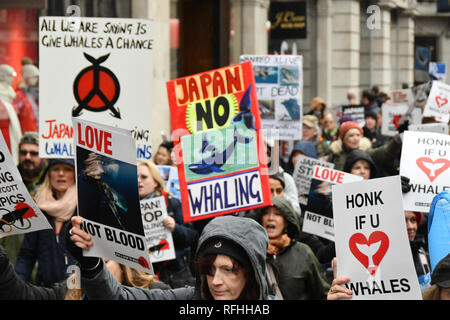 Londra REGNO UNITO. Il 26 gennaio, 2019. Gli attivisti rabbia Giappone furbo tirando fuori di IWC | Commissione baleniera internazionale, Londra, UK Credit: capitale dell'immagine/Alamy Live News Foto Stock