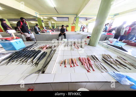 Grande varietà di pesci colorati pescato del giorno, per la vendita in un mercato locale a maschio, Maldive Foto Stock
