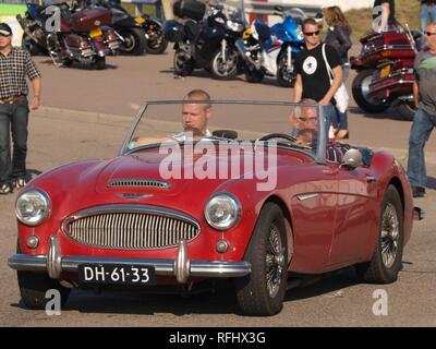 Austin Healey 3000 MkII licenza olandese registrazione-61-33 DH-. Foto Stock