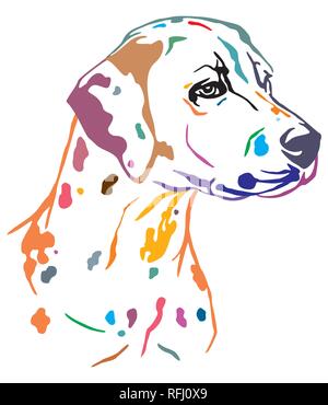 Colorato contorno decorativo ritratto di cane dalmata in cerca profilo, illustrazione vettoriale in colori diversi isolati su sfondo bianco. Immagine Illustrazione Vettoriale