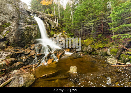 Indian cade su Marcy Brook in un giorno di pioggia in autunno, Montagne Adirondack, Essex Co., NY Foto Stock