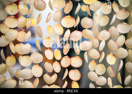 Decorativa tenda fatta di conchiglie close up Foto Stock