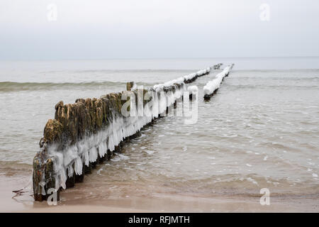 Congelati poli di scogliere sulla costa del mare. Icy pali di legno. Stagione invernale. Foto Stock