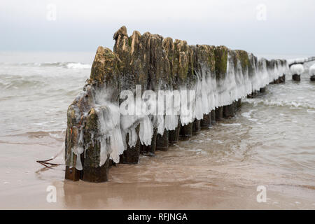 Congelati poli di scogliere sulla costa del mare. Icy pali di legno. Stagione invernale. Foto Stock