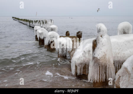 Congelati poli di scogliere sulla costa del mare. Icy pali di legno. Stagione invernale. Foto Stock