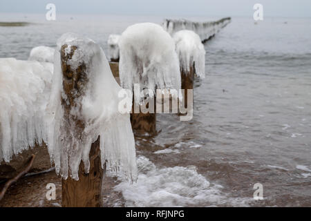 Congelati poli di scogliere sulla costa del mare. Icy pali di legno. Stagione invernale. Foto Stock