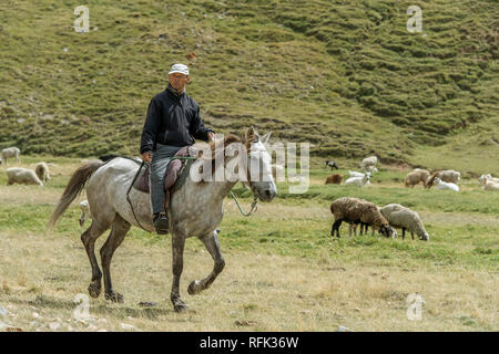 L'uomo imbrancandosi ovini e caprini a cavallo, Assy altopiano, Kazakistan Foto Stock