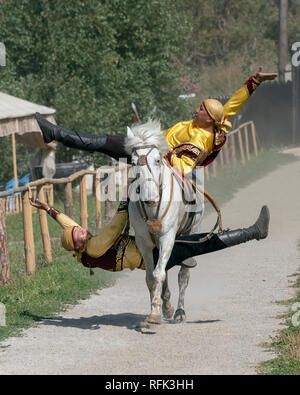Due trick kazako piloti su un cavallo bianco, Alamty, Kazakistan Foto Stock
