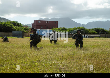 Forza di Marines di ricognizione con il trentunesimo Marine Expeditionary Unit marittimo della forza Raid condurre una prova su una simulazione di zona di atterraggio durante una operazione militare sul Terreno urbano esercizio come parte di Urban realistica esercitazione 19-1 in Marine Corps base Hawaii, Kaneohe Bay, Hawaii, 23 gennaio, 2019. RUTEX 19-1, la prima iterazione di esercizio che il trentunesimo MEU ha condotto in Hawaii, permetterà di integrare scenari e considerazioni che i Marines e marinai della MRF fattore sarà in qualsiasi situazione reale in un ambiente urbano e consentirà loro di integrarsi con lo Foto Stock