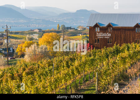 Penticton, British Columbia, Canada - vista della cantina di collina e il bistro dall'Kettle Valley Rail Trail in autunno, una popolare attrazione turistica Foto Stock