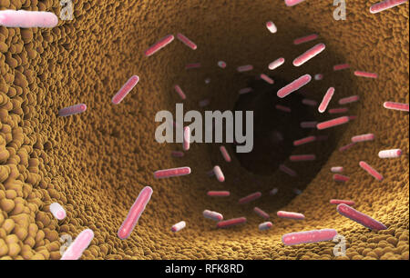 Batteri nell'intestino del sistema digestivo. 3D illustrazione Foto Stock