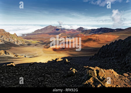 Ampio paesaggio vulcanico con campi di lava in diversi colori, ampio angolo di visualizzazione, tonalità ocra, rossi, ombra scura in primo piano, contrasto - Location: Hawai Foto Stock