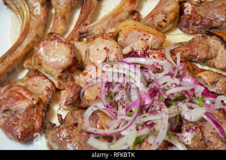 Kebab con la cipolla . Kebab di montone su piastra, vicino la vista . Carni di animali della specie ovina Carni di Kebab Foto Stock