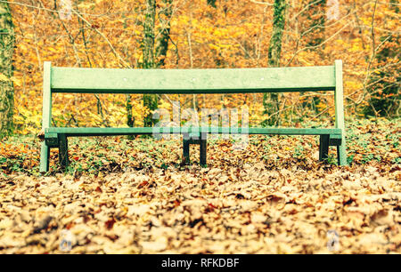 Umido giallo arancione leafves acero sulla panchina nel parco. Una piovosa giornata autunnale crea un umore triste Foto Stock