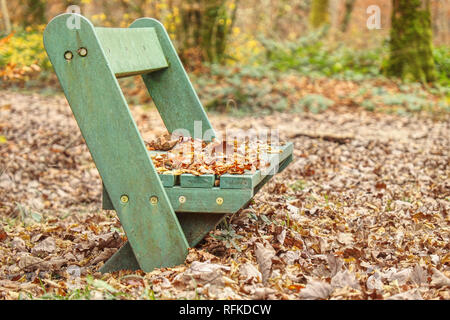 Umido giallo arancione leafves acero sulla panchina nel parco. Una piovosa giornata autunnale crea un umore triste Foto Stock