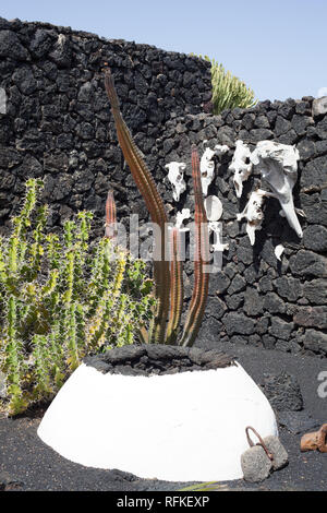 Giardino inusuale a Cesar Manrique Foundation dove l'artista vive ora una galleria d'arte, Taro de Tahiche, Isola Canarie, Lanzarote Foto Stock