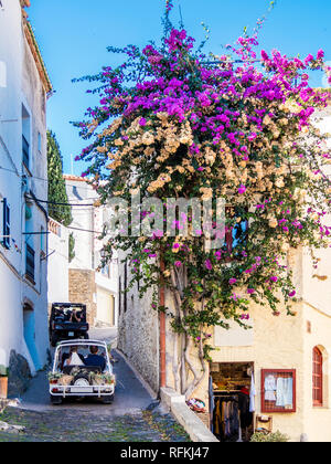 Bella di ciottoli snocciolate small alley riempito di fiori in spagnolo città costiera di Cadaques Foto Stock
