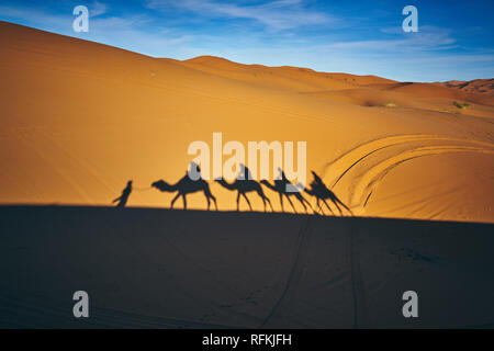 Caravan cammello e ombre nel deserto Erg Chebbi, vicino a Merzouga, deserto del Sahara, Marocco Foto Stock