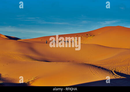 Cammello caravan sotto il sole. La foto del paesaggio desertico è stata scattata a Erg Chebbi, vicino alla città di Merzouga, nel deserto del Sahara, in Marocco. Foto Stock