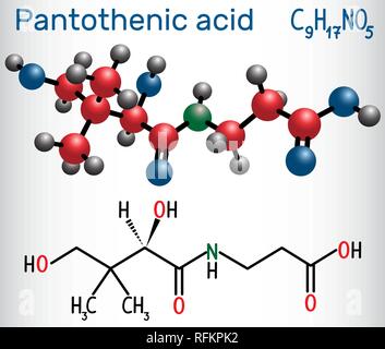 Acido Pantotenico ( vitamina B5, pantotenato ) . Formula chimica di struttura e la molecola modello. Illustrazione Vettoriale Illustrazione Vettoriale