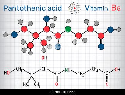 Acido Pantotenico ( vitamina B5, pantotenato ) . Formula chimica di struttura e la molecola modello. Foglio di carta in una gabbia. Illustrazione Vettoriale Illustrazione Vettoriale