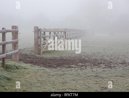 Campo scena di gate su una nebbia gelido inverno mattina Foto Stock