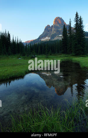 Liberty Bell Mountain riflessa in stagno nel prato erboso, Washington Pass, North Cascades, Chelan County, nello Stato di Washington Foto Stock