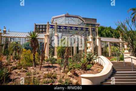 Adelaide Botanic Garden 1877 palm house vista esterna di una serra vittoriana in Adelaide Australia SA Foto Stock