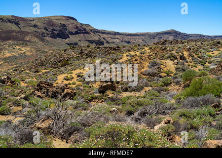 I campi di lava di Las Canadas caldera del vulcano Teide. Viewpoint: Minas de San Jose. Tenerife. Isole Canarie. Spagna. Foto Stock