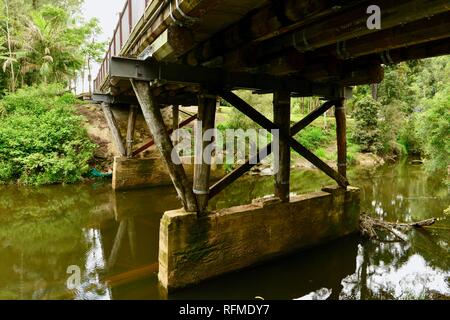 Il ponte sul fiume rotte dove vista persone platypus, Eungella National Park, Queensland, Australia Foto Stock