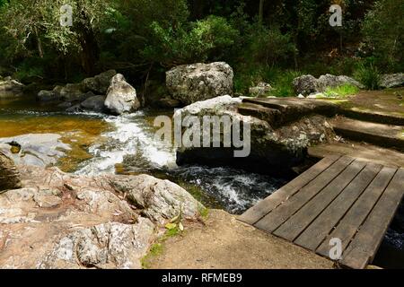 Un piccolo ponte di legno su un fiume che scorre in granito, piegare la via al fiume rotto, Eungella National Park, Queensland, Australia Foto Stock