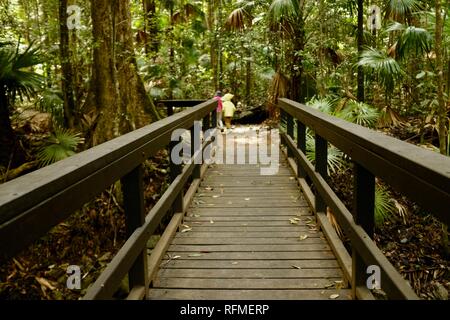 Un ponte di legno, granito piegare la via al fiume rotto, Eungella National Park, Queensland, Australia Foto Stock
