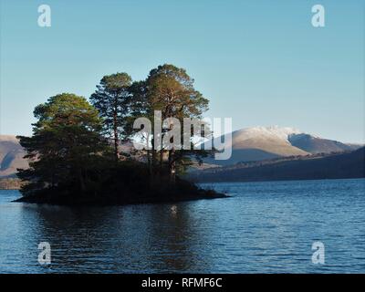 Isola nella baia di mirto illuminato dal basso sole invernale, Derwentwater, Parco Nazionale del Distretto dei Laghi, Cumbria, England, Regno Unito Foto Stock