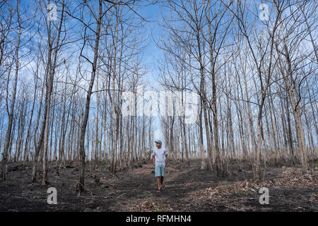Voce maschile in piedi nella foresta con alberi sfrondato Foto Stock