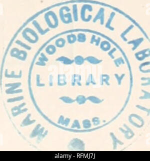 . Carnegie Institution di Washington la pubblicazione. Spiegazione delle tabelle THK. 21 mostrano che la linea sia per essere classificato come avente piccola, media o grande separazione, e per questo motivo l'inclusione di tali linee è giustificato. Quando le misure sono espresse sia per l'n- e l'/^-componenti, il peso per ogni dato è separato da una virgola. Nel caso in cui solo la /"-componente è misurata, un trattino prima della virgola indica la omissione del peso per il K-componente. 5. V.LUE DI AX. La quinta e la sesta colonna delle tabelle contengono la separazione in unità Angstrom dei componenti dato Foto Stock