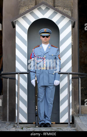 Praga, Repubblica Ceca - 17 agosto: una guardia al Castello di Praga il 17 agosto 2012 a Praga, Repubblica Ceca. A mezzogiorno ogni giorno vi è una speciale ceremo Foto Stock