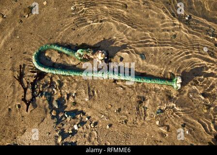 Corda di plastica Rifiuti e inquinamento lavato fino a una spiaggia di Rhosneigr, Anglesey, Galles del Nord, Regno Unito Foto Stock