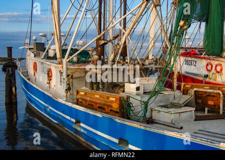 Gamberetti per Biloxi Foto Stock