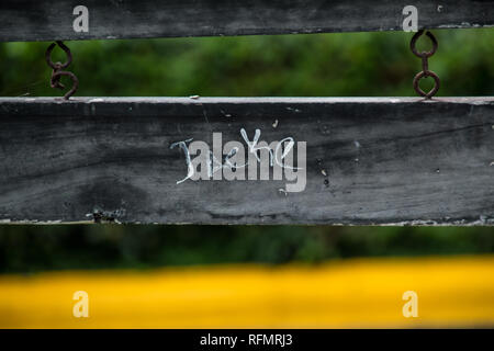 Un vecchio usurato segno che ha 'Jacke' scritto su di esso. Isolato in una foresta sfocata sullo sfondo. Giallo in primo piano Foto Stock